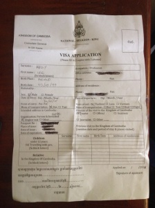 The fake Visa application form